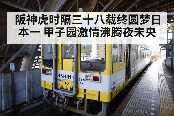 阪神虎时隔三十八载终圆梦日本一 甲子园激情沸腾夜未央